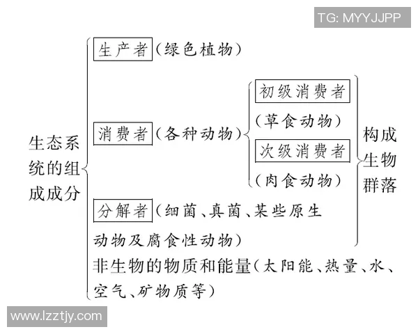 鸟栖沙岩与清水的对比分析探讨生态环境与生物多样性的关系