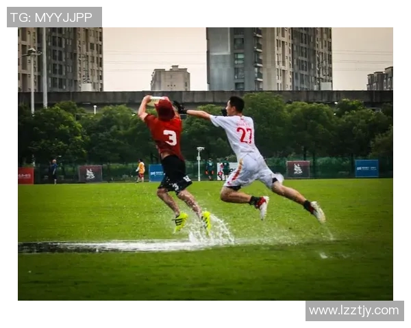 聚焦飞盘运动：杭州飞盘队默契配合与战术探讨